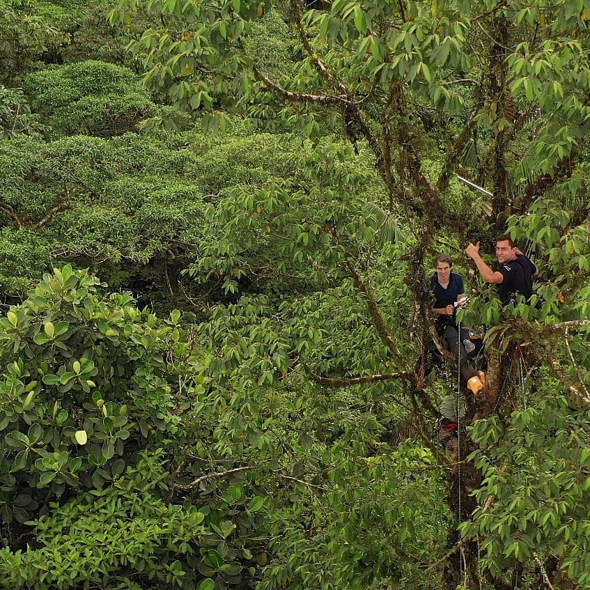 RFCx Technology monitors and protects Canande Reserve (Chocó Ecosystem)