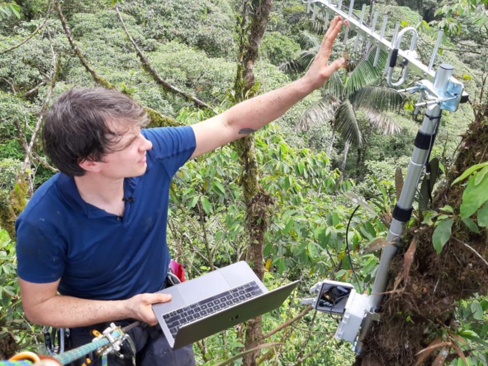 Rain Forest Connection