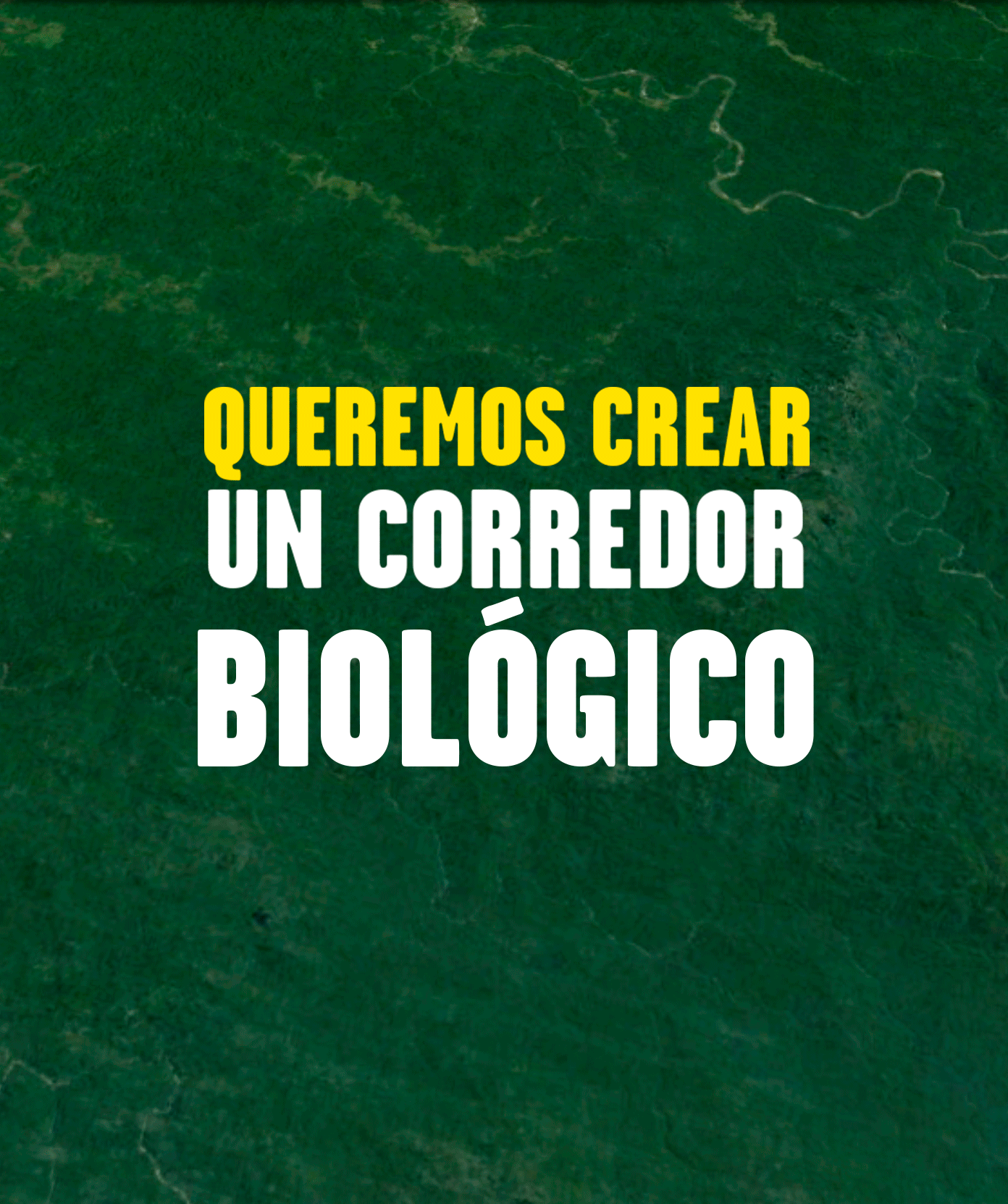 Ayúdanos a salvar el Chocó