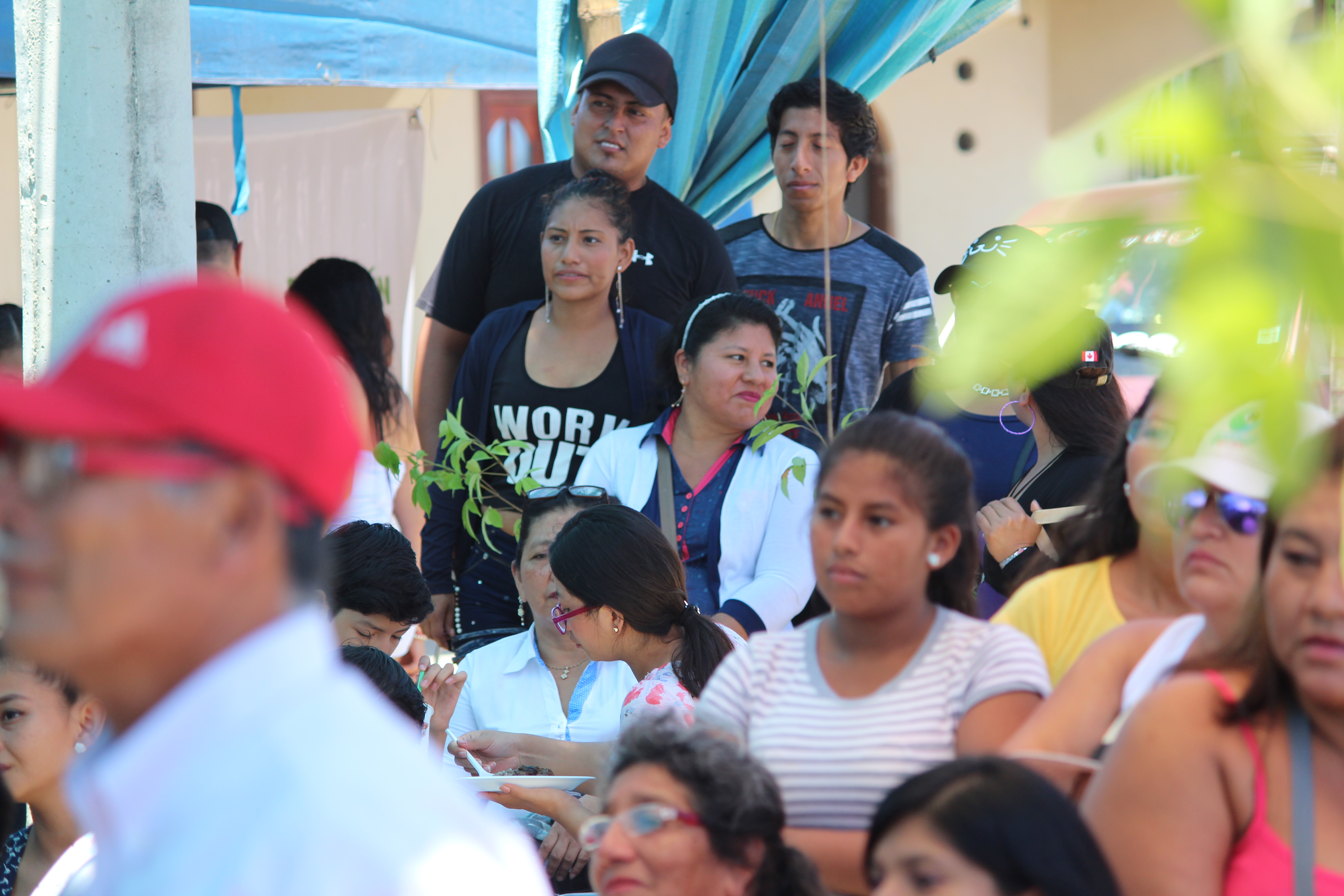 Festival del Pechiche