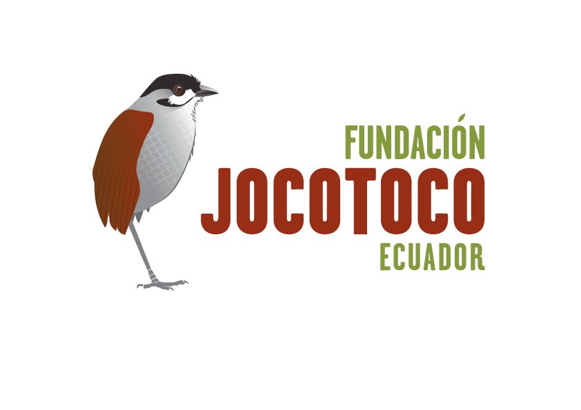 Inicio