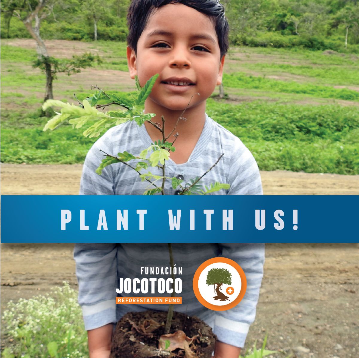 ¡Jocotoco lanza su fondo para reforestación!