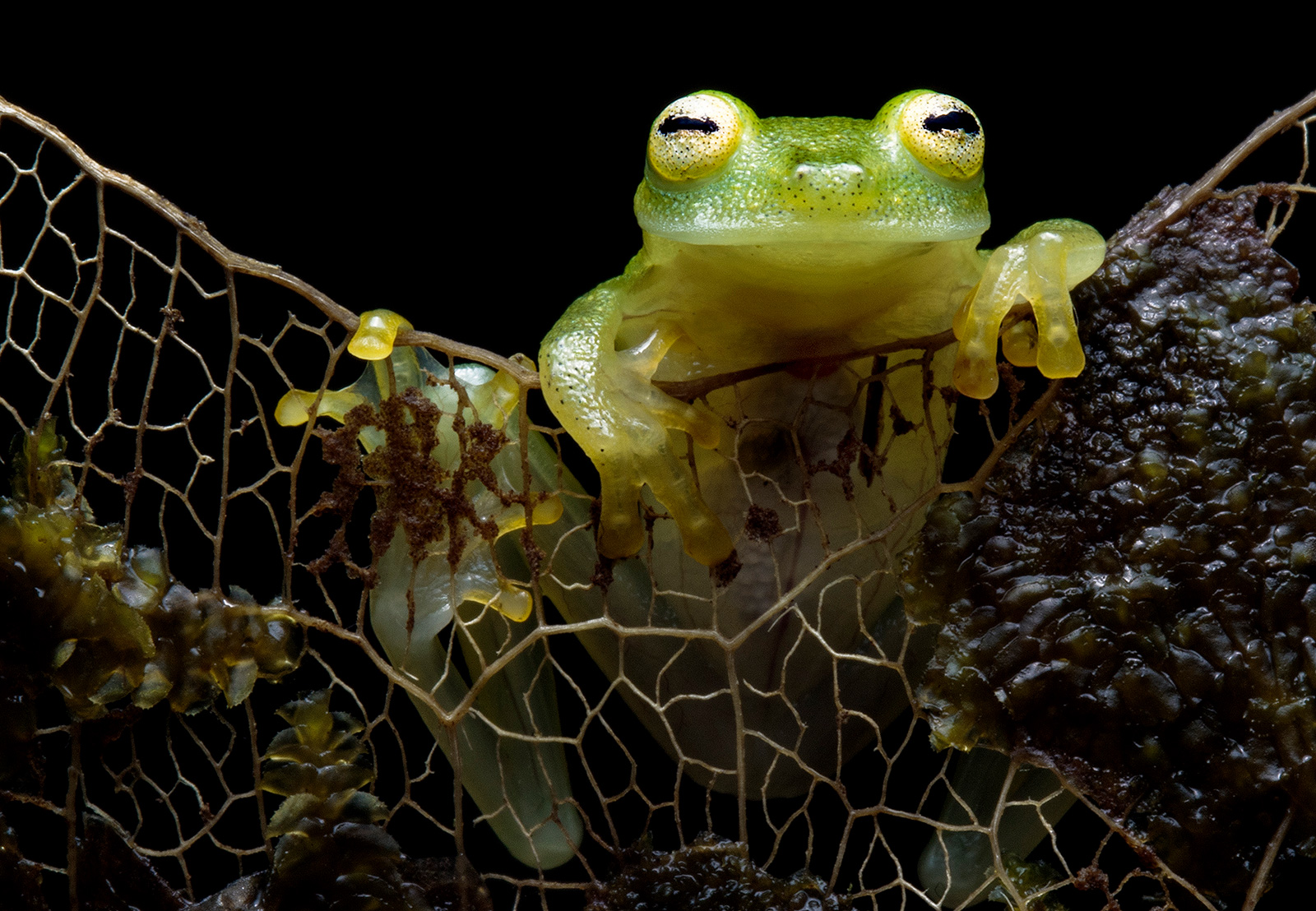 Visita Buenaventura en Julio 2022