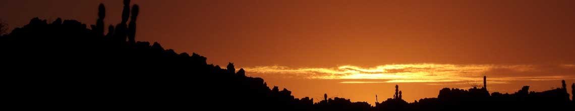 Visita Volcán Wolf 2022