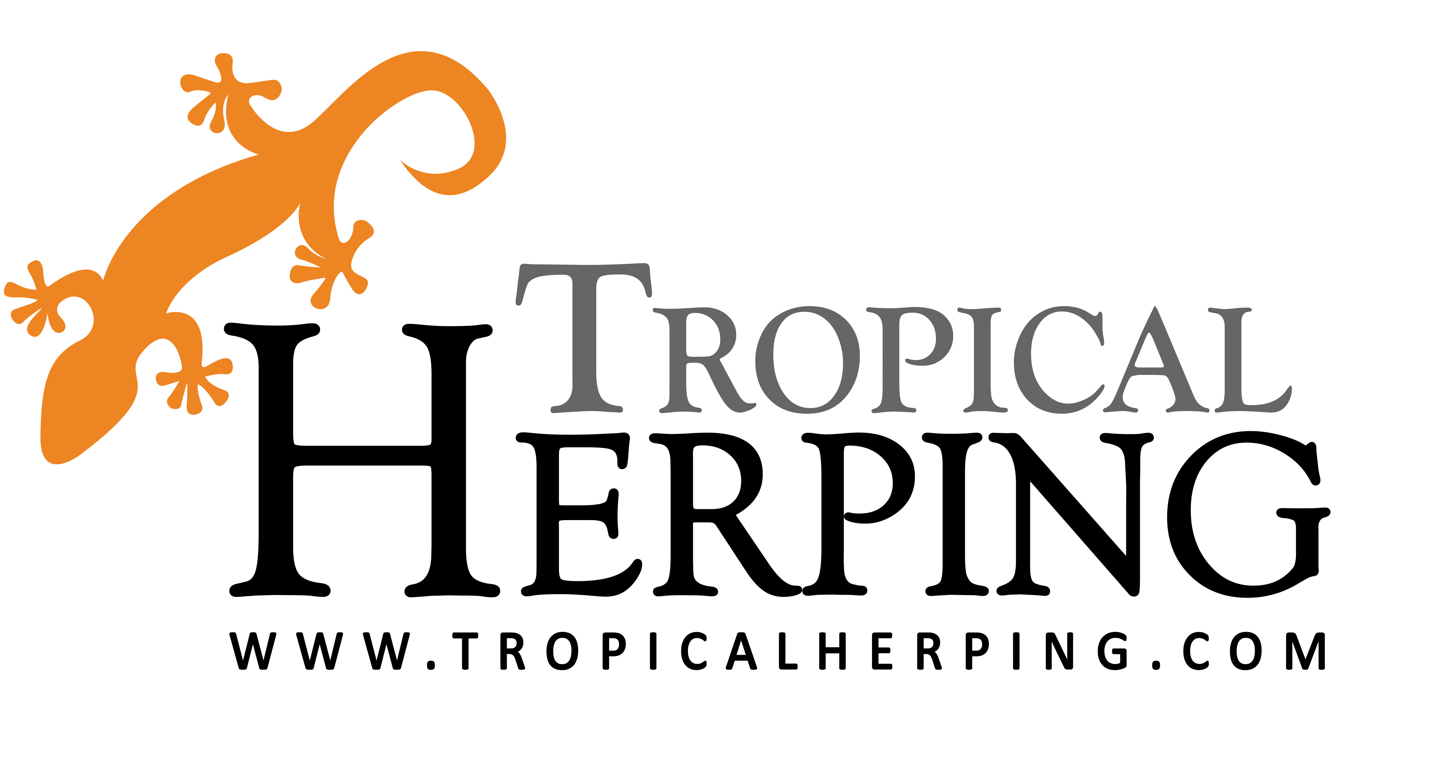 Tropical Herping