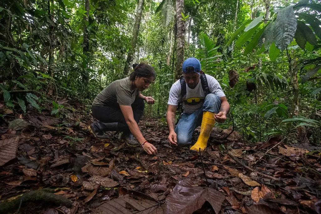 Canandé Reserve harbors the treasures of the Chocó