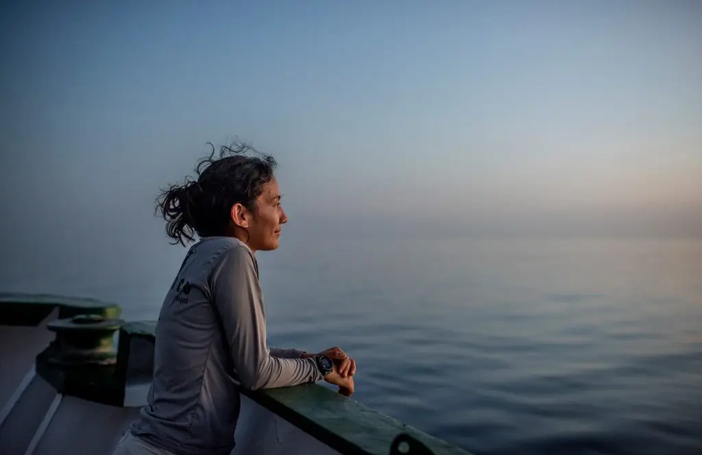 Discover how Jocotoco's marine coordinator joined a Greenpeace expedition in the Galápagos, advancing ocean conservation and protecting one of the world's most unique marine ecosystems.