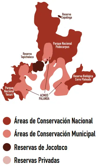programa podocarpus
